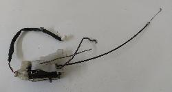 Contact us for Photo