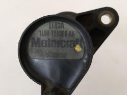 Contact us for Photo