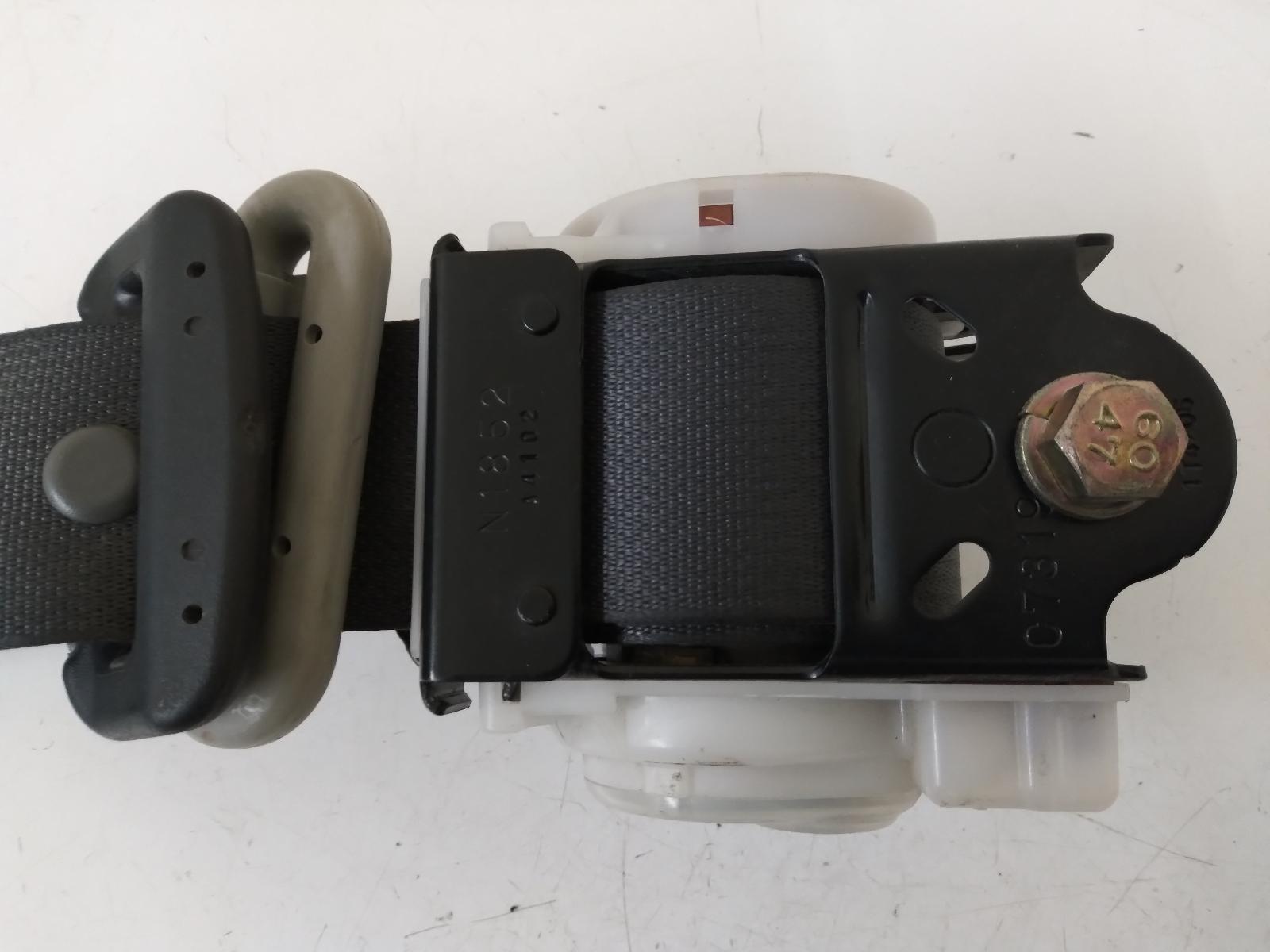 Contact us for Photo