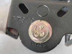 Contact us for Photo