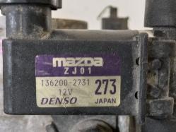 Contact us for Photo