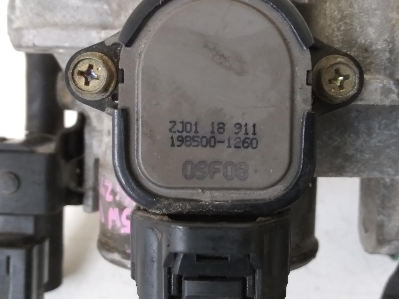 Contact us for Photo