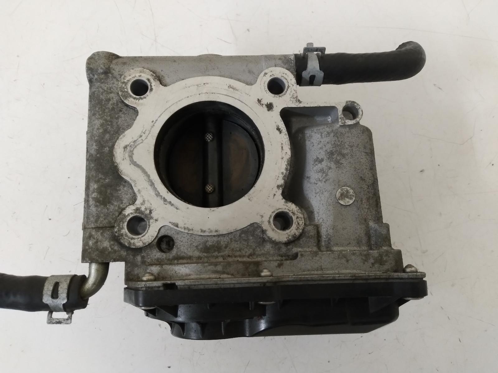 Contact us for Photo