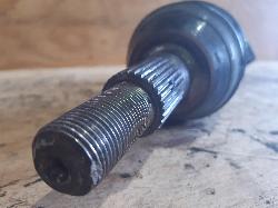 Contact us for Photo