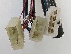 Contact us for Photo