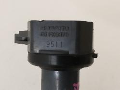 Contact us for Photo