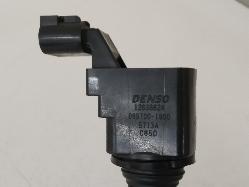 Contact us for Photo