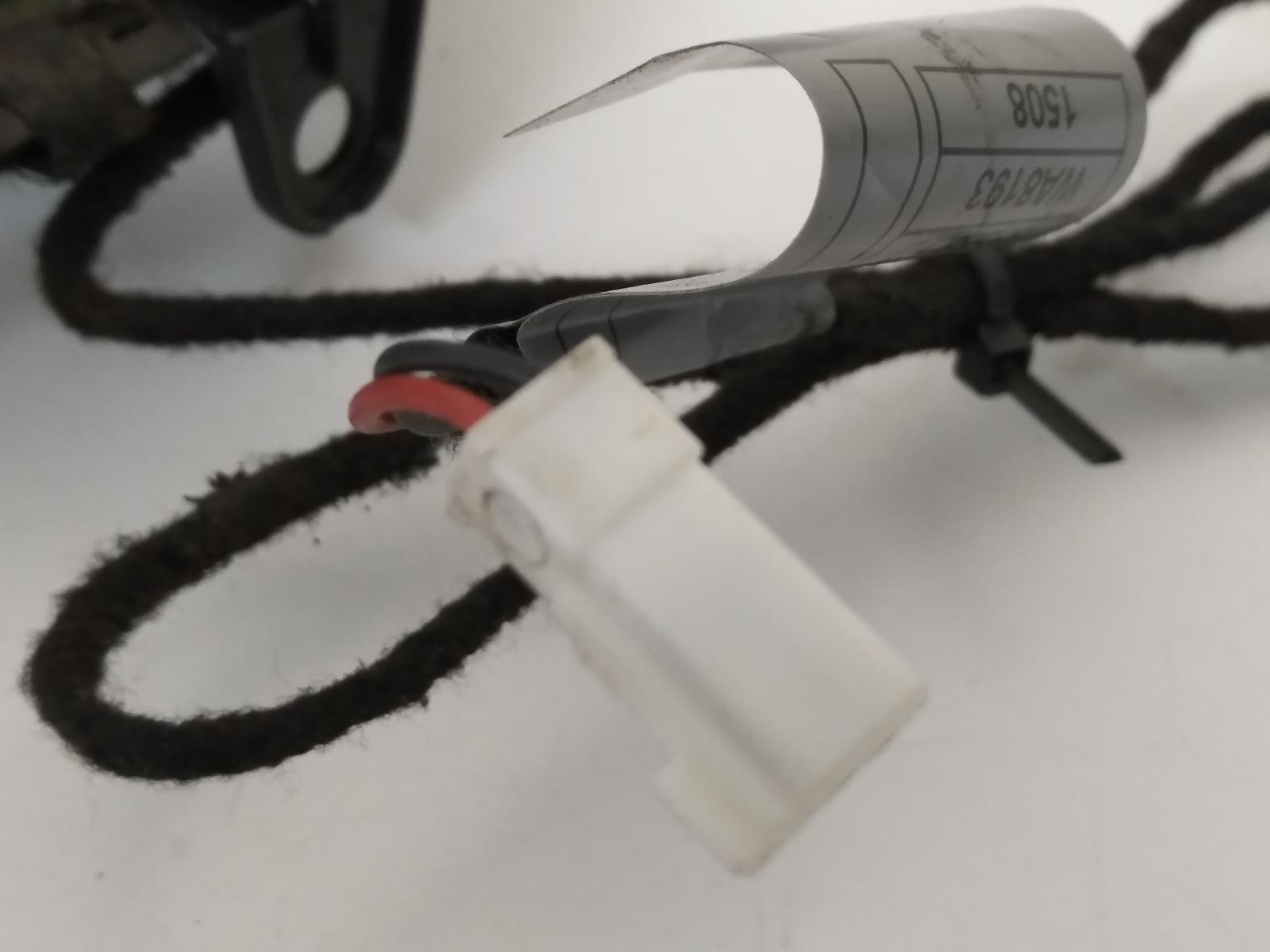 Contact us for Photo