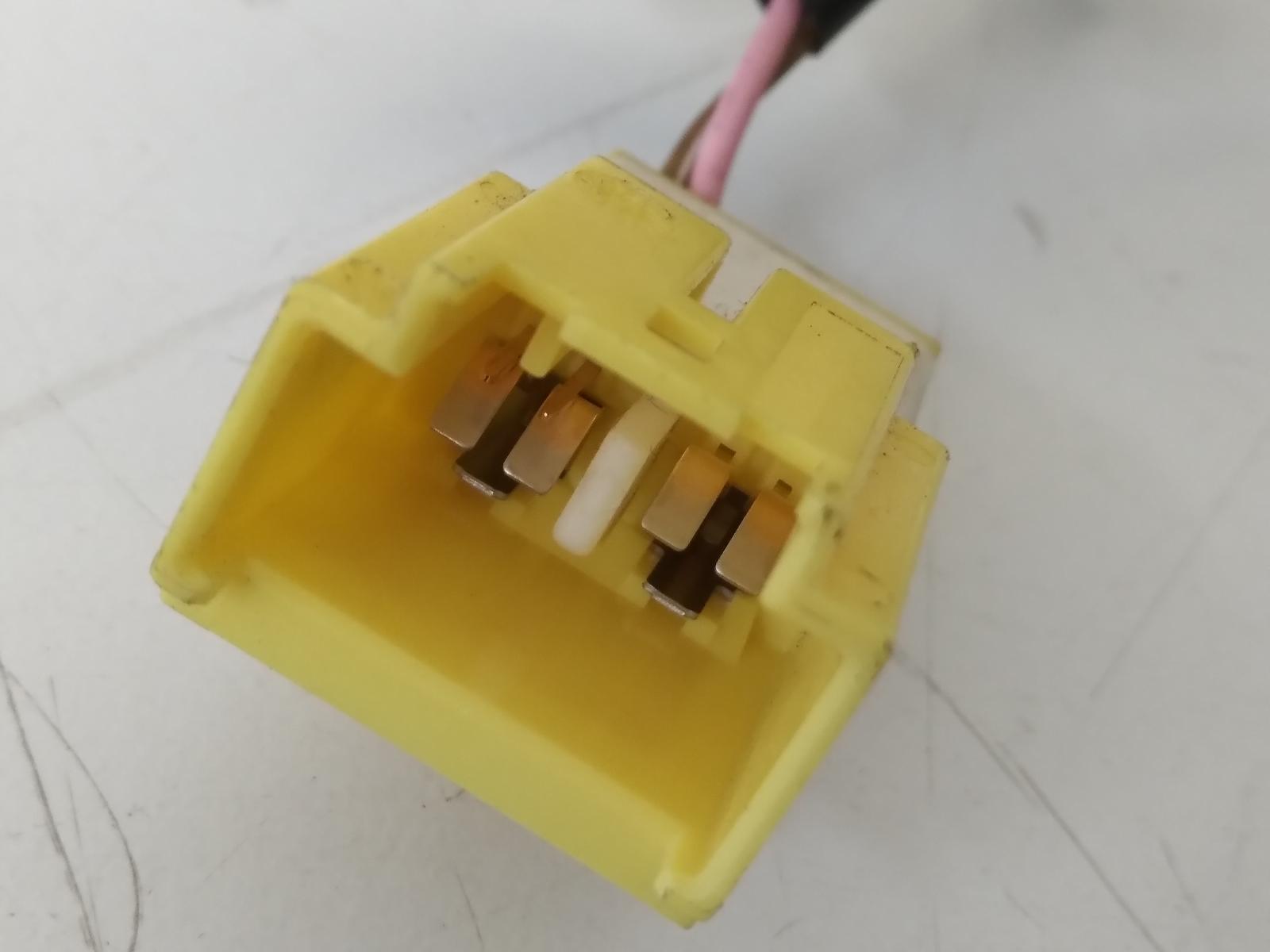 Contact us for Photo