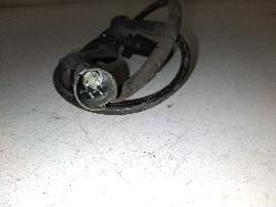 Contact us for Photo