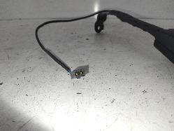 Contact us for Photo