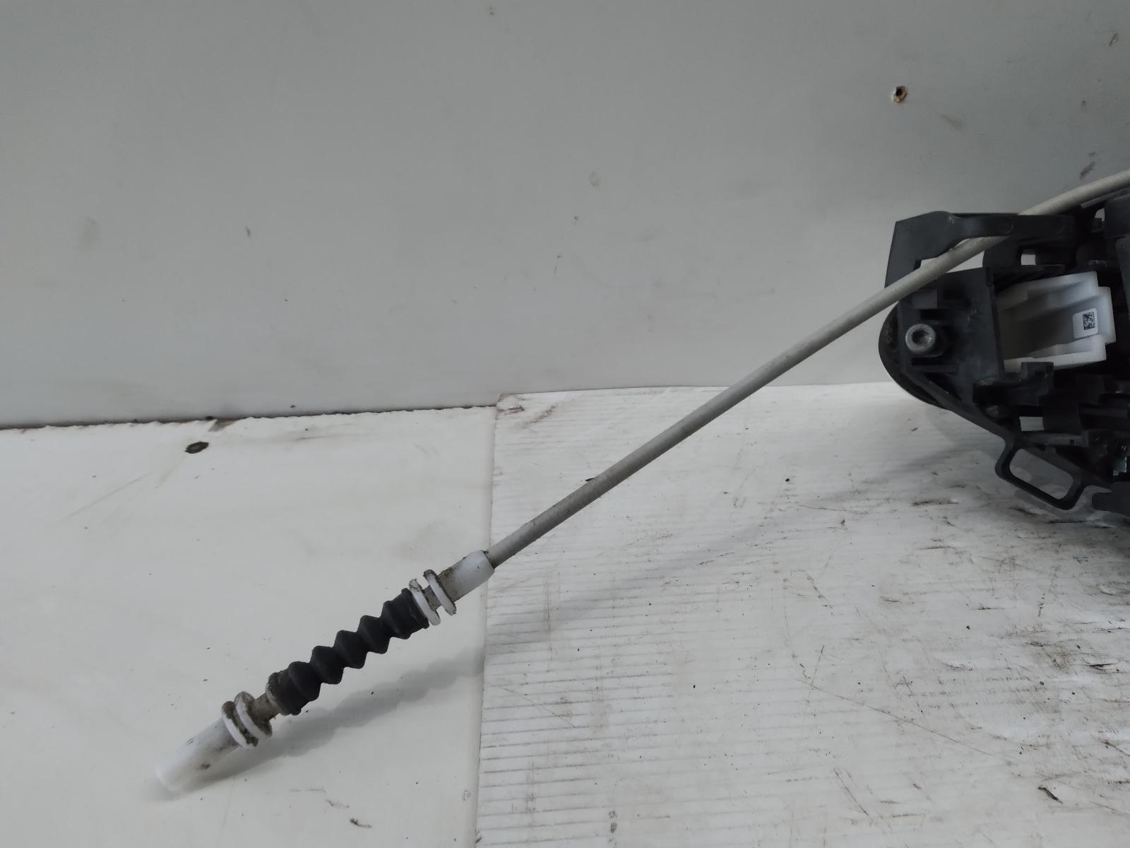 Contact us for Photo