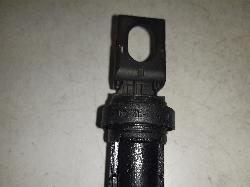 Contact us for Photo