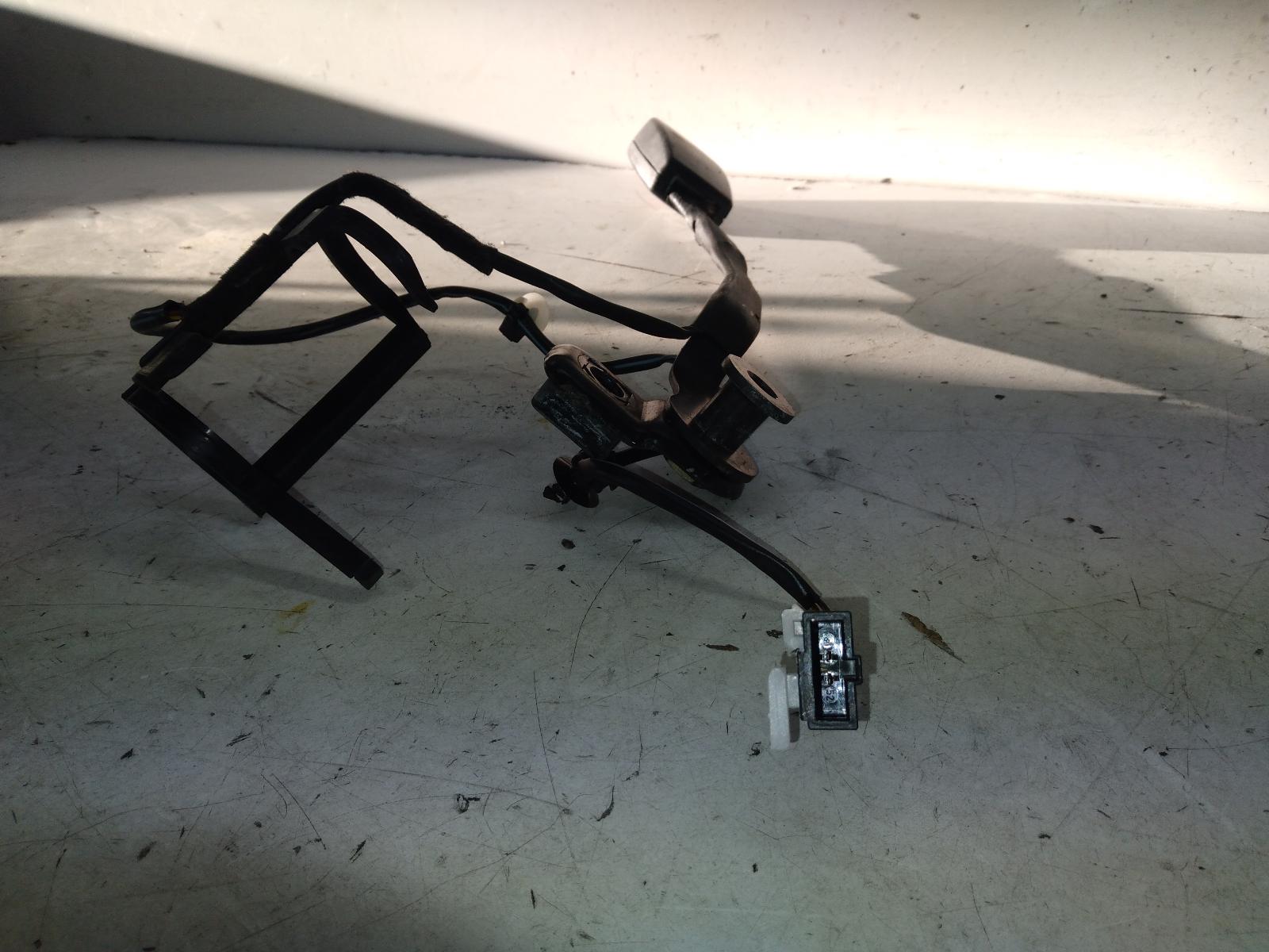 Contact us for Photo