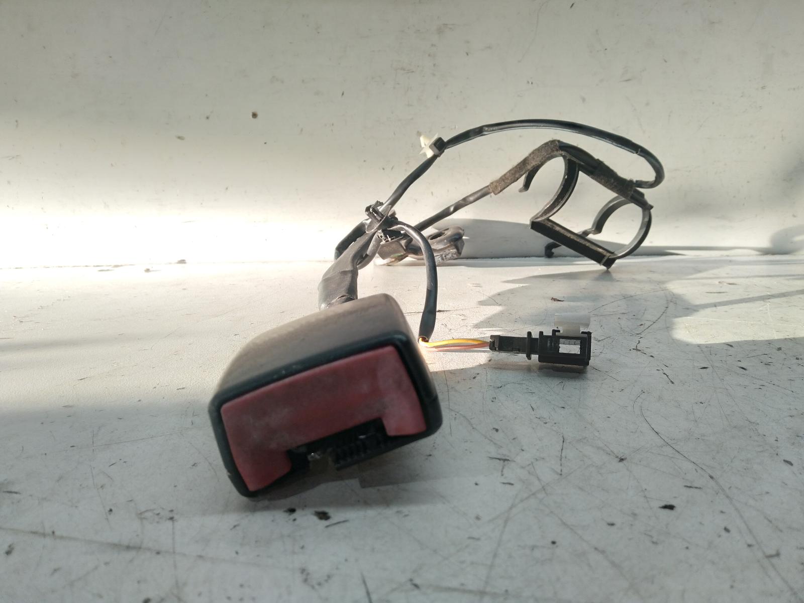 Contact us for Photo