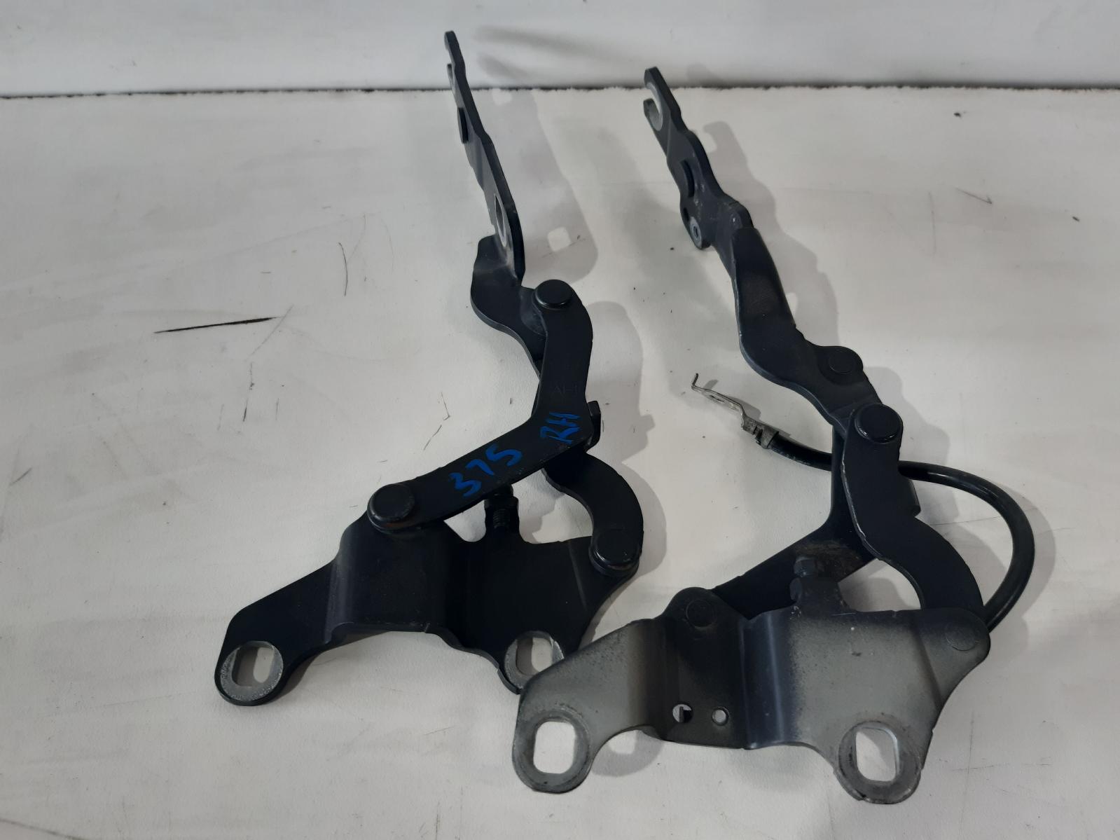 Contact us for Photo