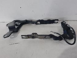 Contact us for Photo