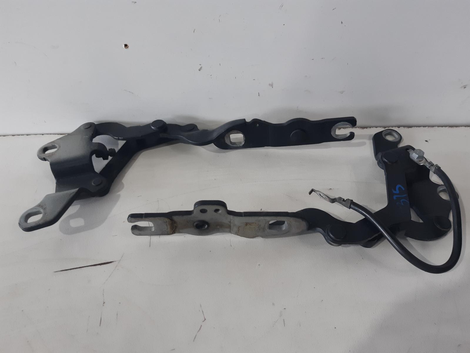 Contact us for Photo