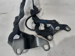 Contact us for Photo