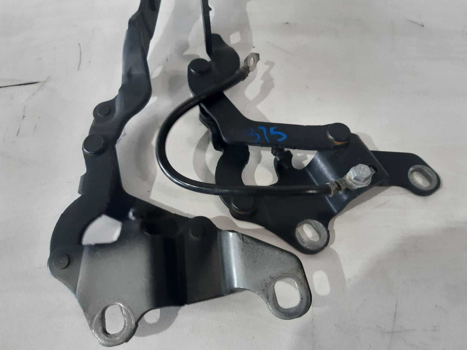 Contact us for Photo