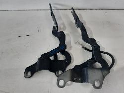 Contact us for Photo