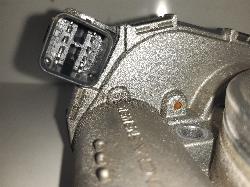 Contact us for Photo