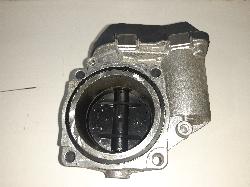 Contact us for Photo