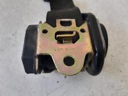 Contact us for Photo