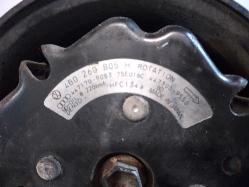 Contact us for Photo