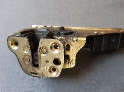 Contact us for Photo