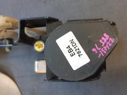 Contact us for Photo