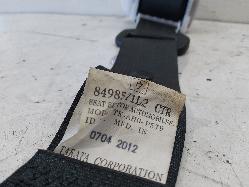 Contact us for Photo