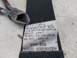 Contact us for Photo