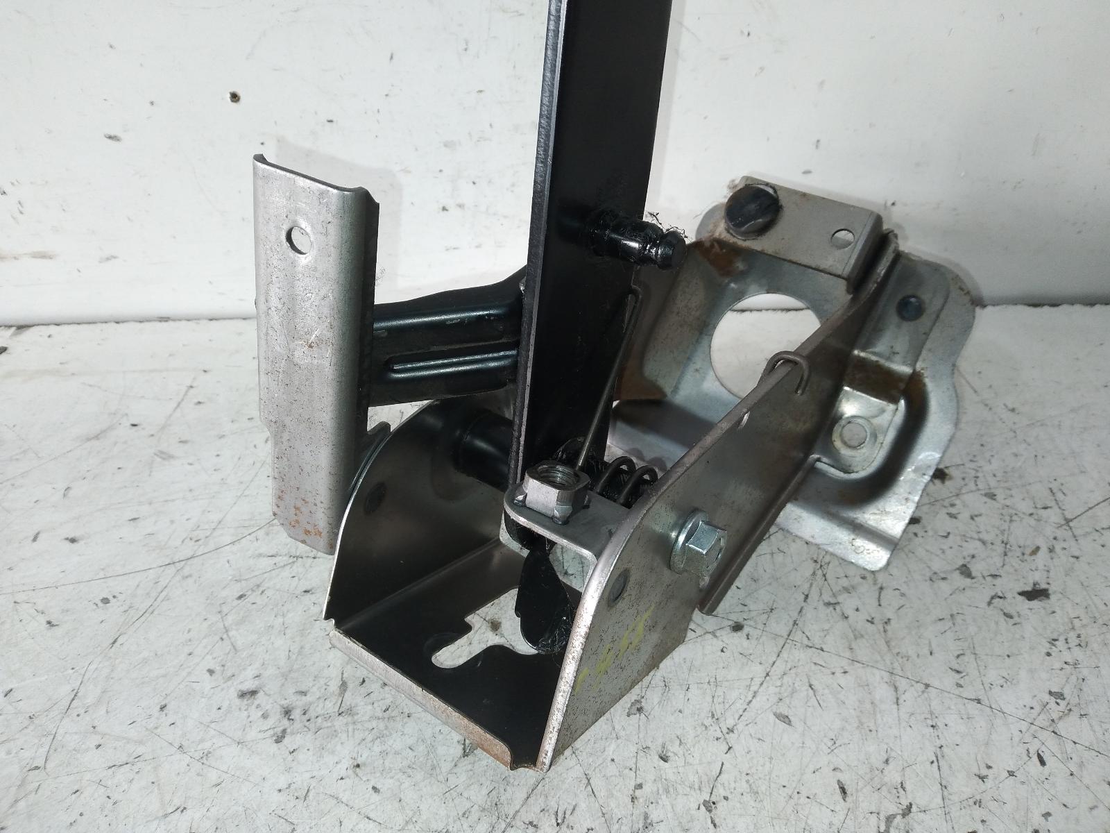 Contact us for Photo