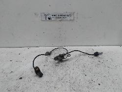 Contact us for Photo