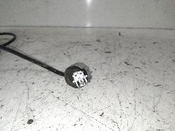 Contact us for Photo