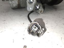 Contact us for Photo