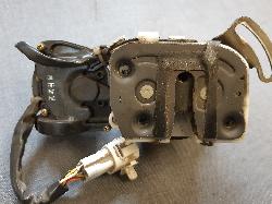 Contact us for Photo