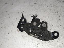 Contact us for Photo