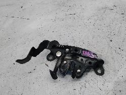 Contact us for Photo