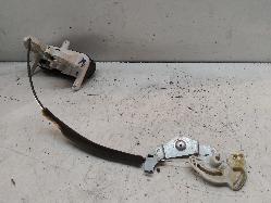 Contact us for Photo