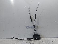 Contact us for Photo