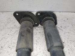 Contact us for Photo