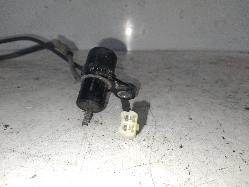 Contact us for Photo