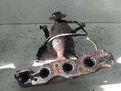 Contact us for Photo