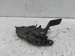 Contact us for Photo