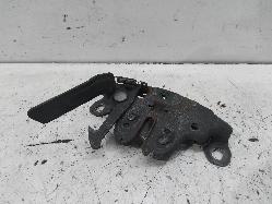 Contact us for Photo