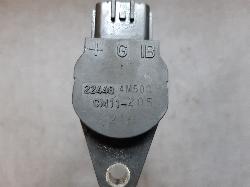 Contact us for Photo