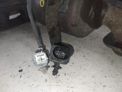 Contact us for Photo