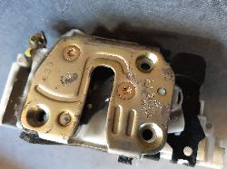 Contact us for Photo